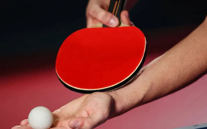 Hướng dẫn về cách đặt cá cược cho tân cược Hướng dẫn về cách đặt cá cược cho tân cược